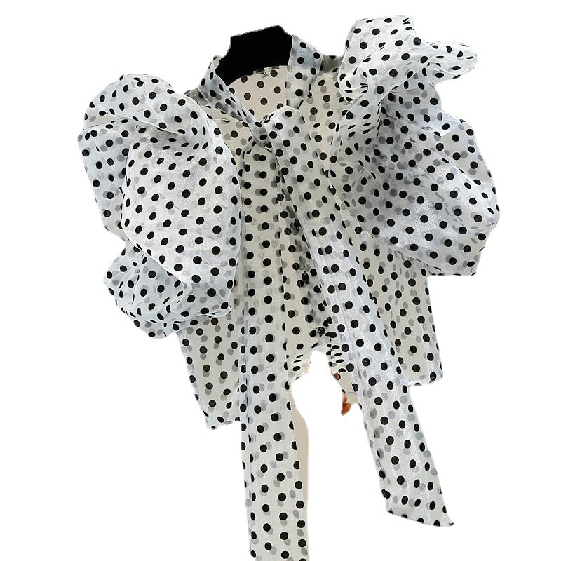 Best Online Shop in Australia - Women’s Polka Dot Organza Top - Emete store