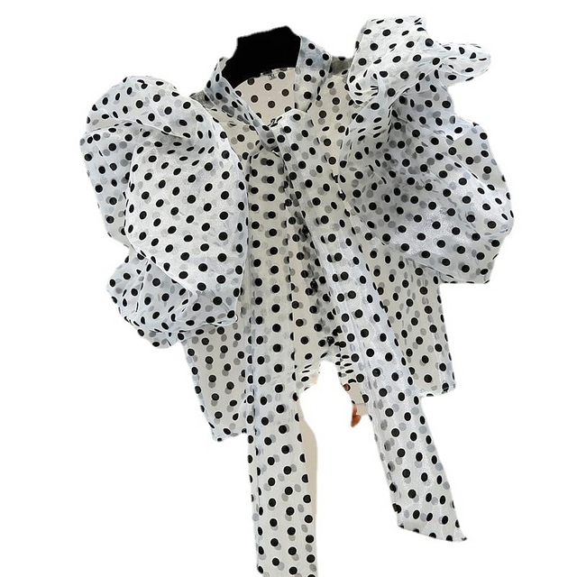 Best Online Shop in Australia - Women’s Polka Dot Organza Top - Emete store