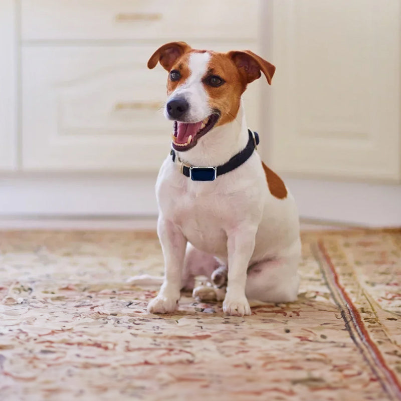 G12 Smart GPS pet tracker: Mini, waterproof, anti - loss collar for dogs & cats - Emete store