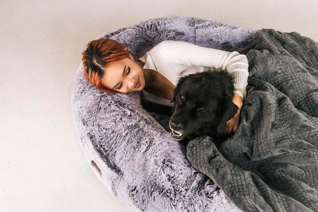 Dog Bed for Humans Portable Pet Bed Giant Dog Bed Human Bed Cat Bed Dog Bed - Emete store