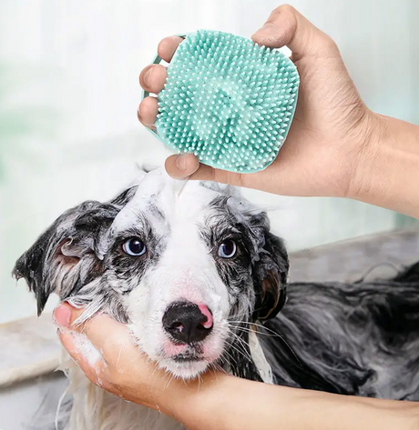 Best Online Shop in Australia - Pet shower brush - Emete store