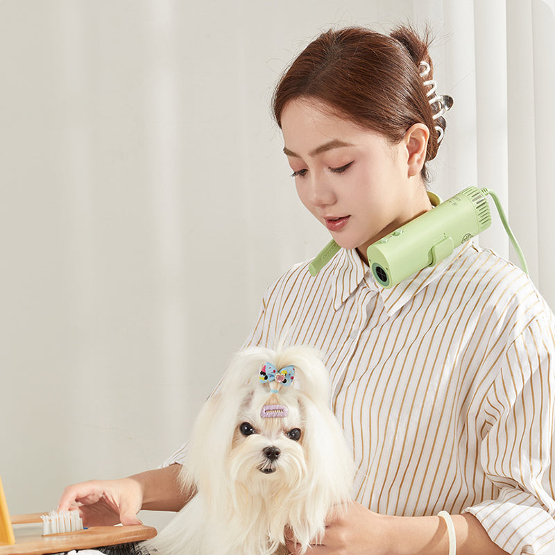 Pet hair dryer for pet care: high power, quiet, energy-saving, dog grooming, fast drying. Only suitable for 220V countries. - Emete store