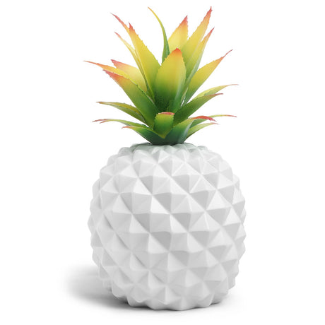 Best Online Shop in Australia - White pineapple & green plant decor - Emete store