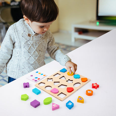 Best Online Shop in Australia - Wooden Shape & Color Matching Toy - Emete store