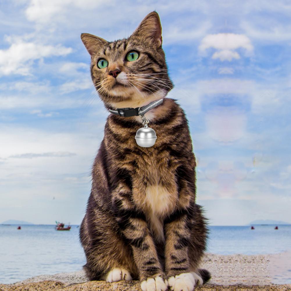Smart Pet Positioning Bell GPS Locator Waterproof Electronic Collar Anti-lost Device Pet Supplies For Dog Cats Multiple Language - Emete store