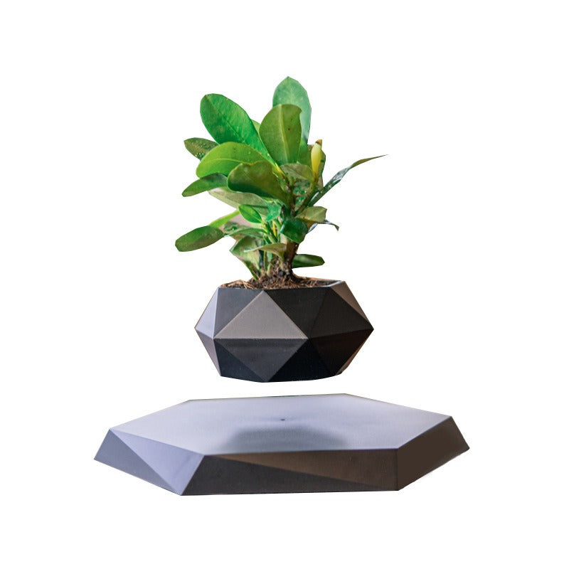 Magnetic levitation potted plants Creative Bonsai Flower Pots Plants Office Plant Decorations Without Plants Bedroom - Emete store
