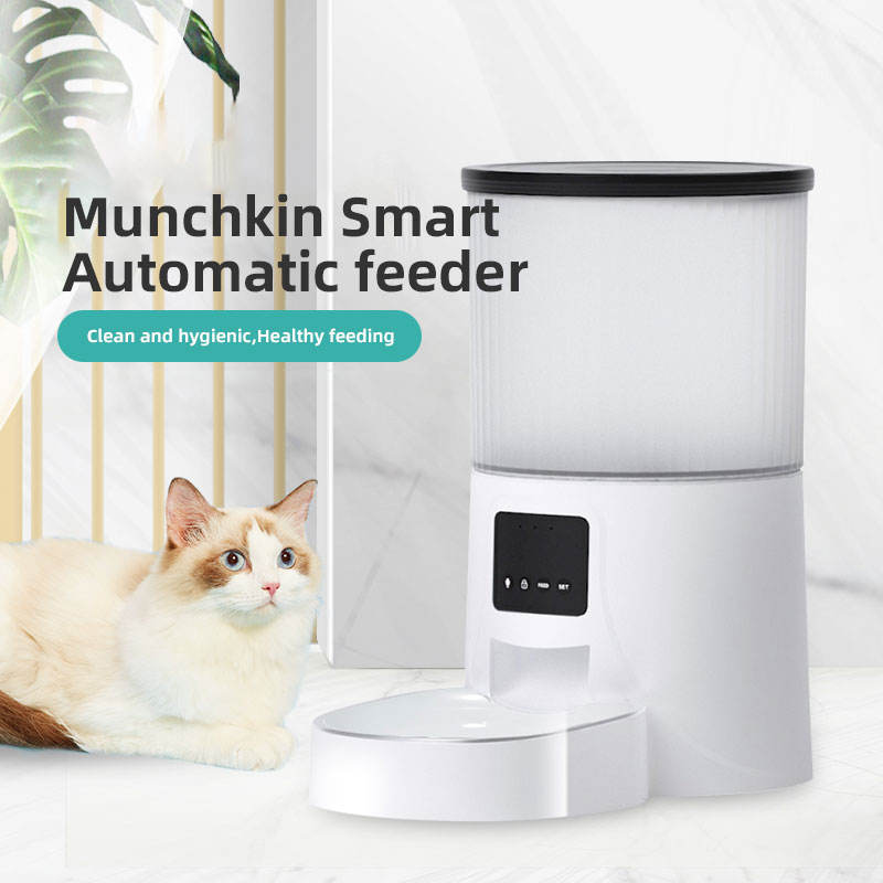 Wifi Smart APP Pet Feeder Household use Microchip Dog Automatic Pet Feeder Automatic Pet Feeder - Emete store