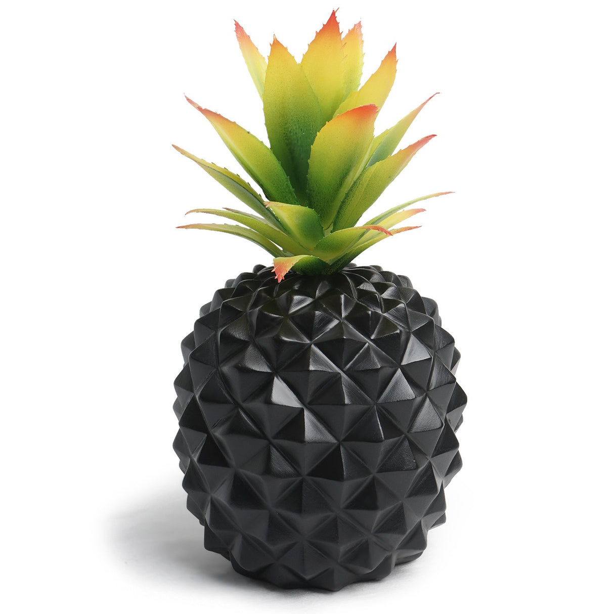 Black pineapple plant green plant office desk decoration