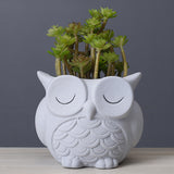 Flower pot ceramic indoor creative simple desktop small animal flower ornaments