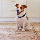 G12 Smart GPS pet tracker: Mini, waterproof, anti - loss collar for dogs & cats - Emete store