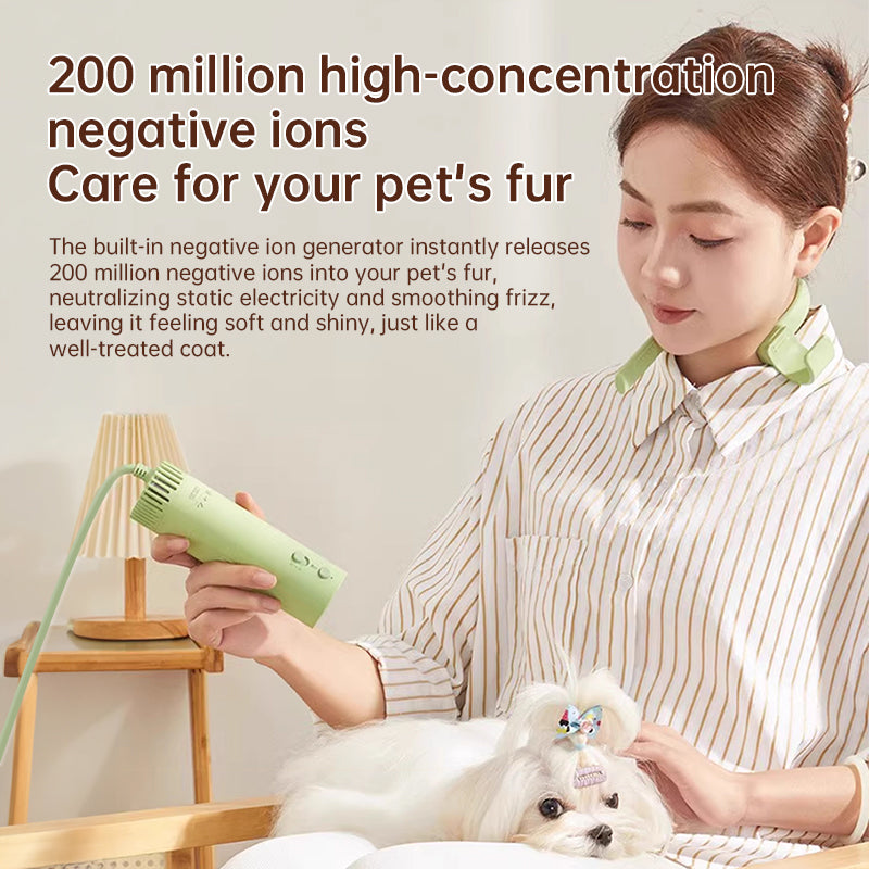 Pet hair dryer for pet care: high power, quiet, energy-saving, dog grooming, fast drying. Only suitable for 220V countries. - Emete store