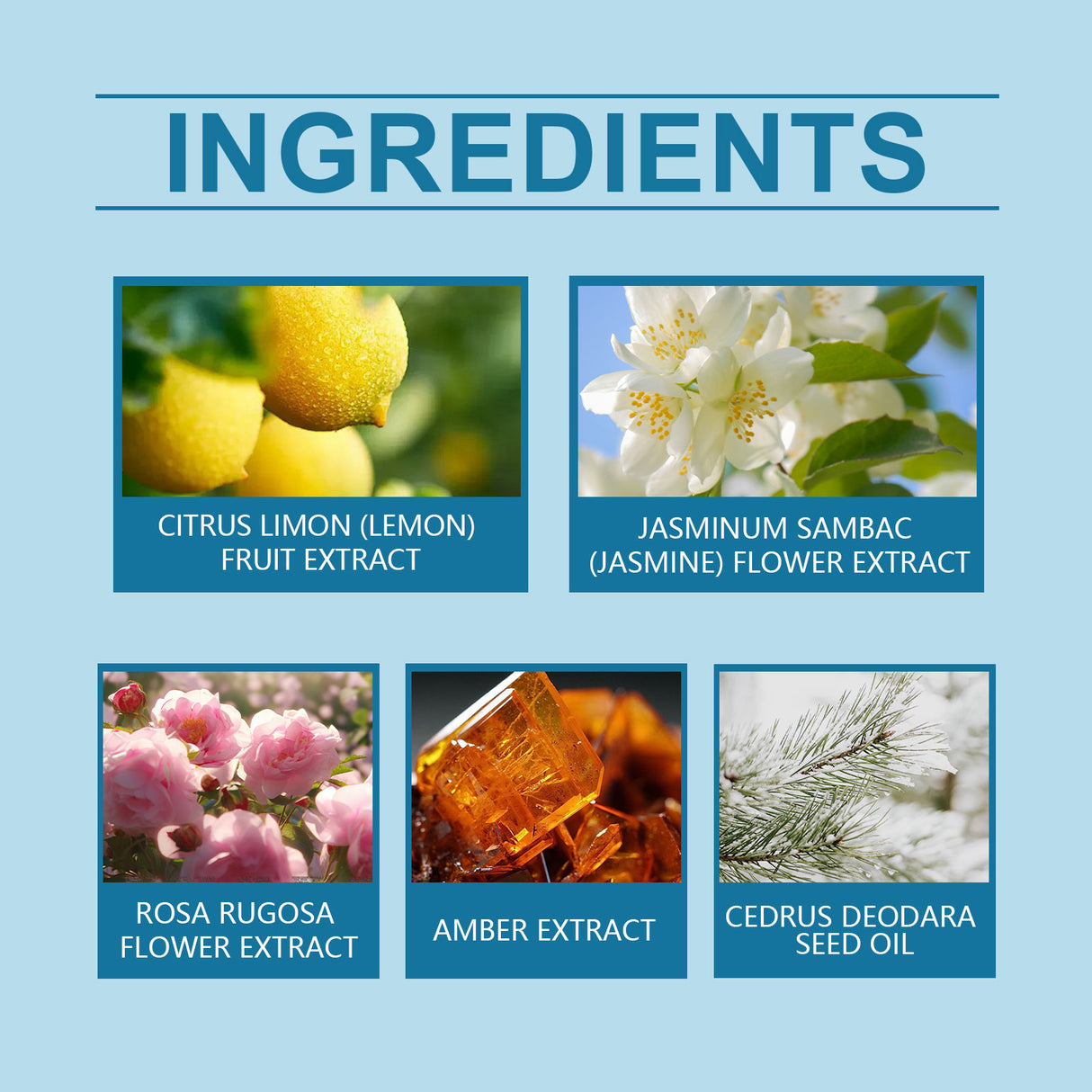 Summer Lemon Perfume Natural Fresh Lasting Bergamot Vibrant Bouquet Bouquet Light Fragrance Light Elegant Perfume - Emete store