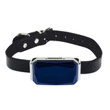 G12 Smart GPS pet tracker: Mini, waterproof, anti - loss collar for dogs & cats - Emete store