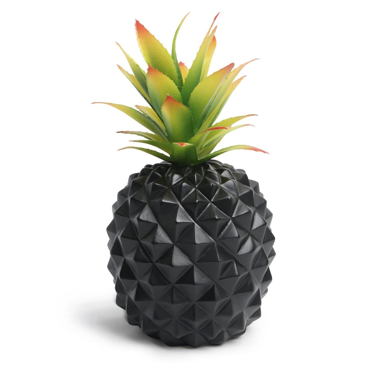 Black pineapple plant green plant office desk decoration