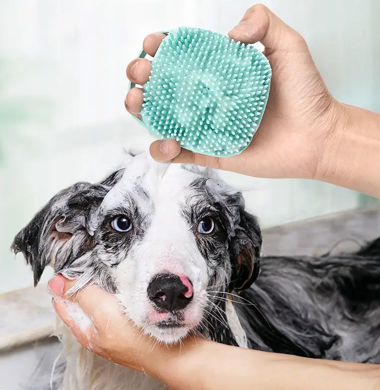 Pet shower brush