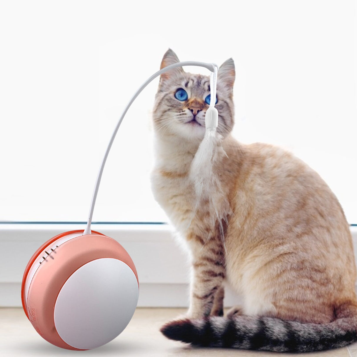 Funny Cat Toy Tumbler Swing Toys For Cats Kitten Interactive Balance Car Cat Chasing Toy Funny Sound And Light Feather Toy - Emete store