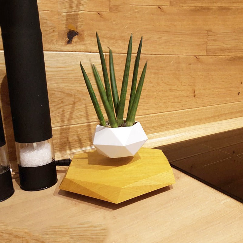 Magnetic levitation potted plants Creative Bonsai Flower Pots Plants Office Plant Decorations Without Plants Bedroom - Emete store