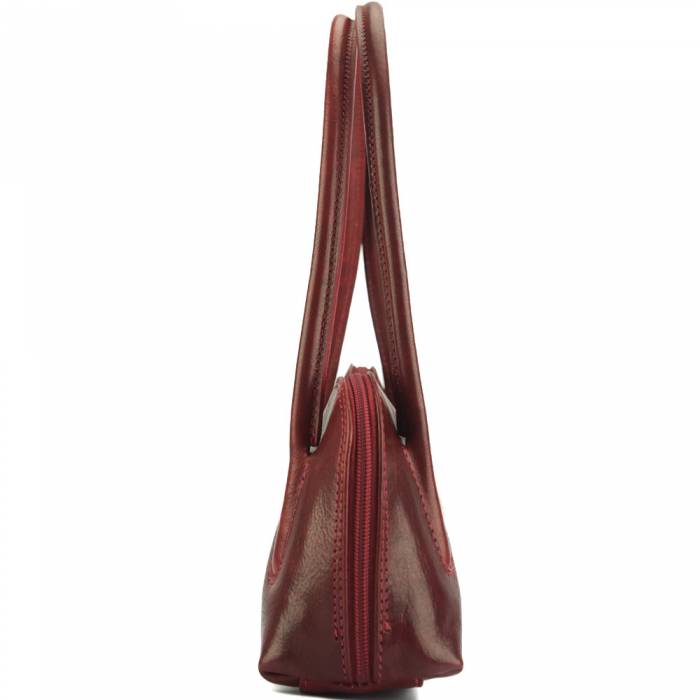 Serafina Leather Handbag