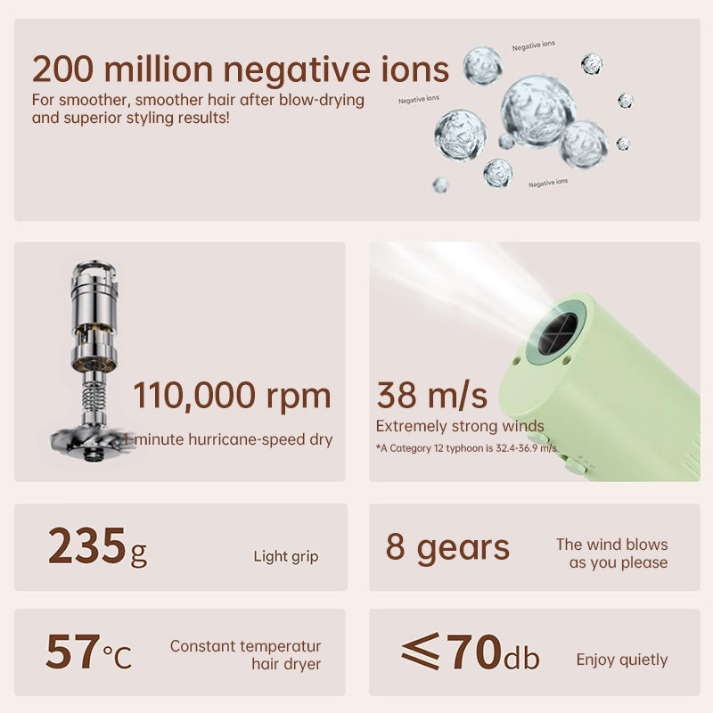 Pet hair dryer for pet care: high power, quiet, energy-saving, dog grooming, fast drying. Only suitable for 220V countries. - Emete store