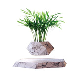 Magnetic levitation potted plants Creative Bonsai Flower Pots Plants Office Plant Decorations Without Plants Bedroom - Emete store