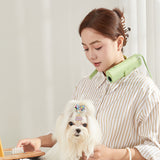 Pet hair dryer for pet care: high power, quiet, energy-saving, dog grooming, fast drying. Only suitable for 220V countries. - Emete store