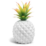 white pineapple plant and green plant office desk decoration