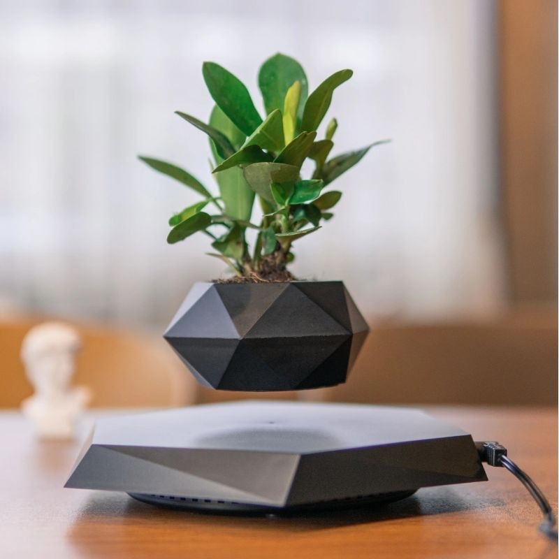 Magnetic levitation potted plants Creative Bonsai Flower Pots Plants Office Plant Decorations Without Plants Bedroom - Emete store