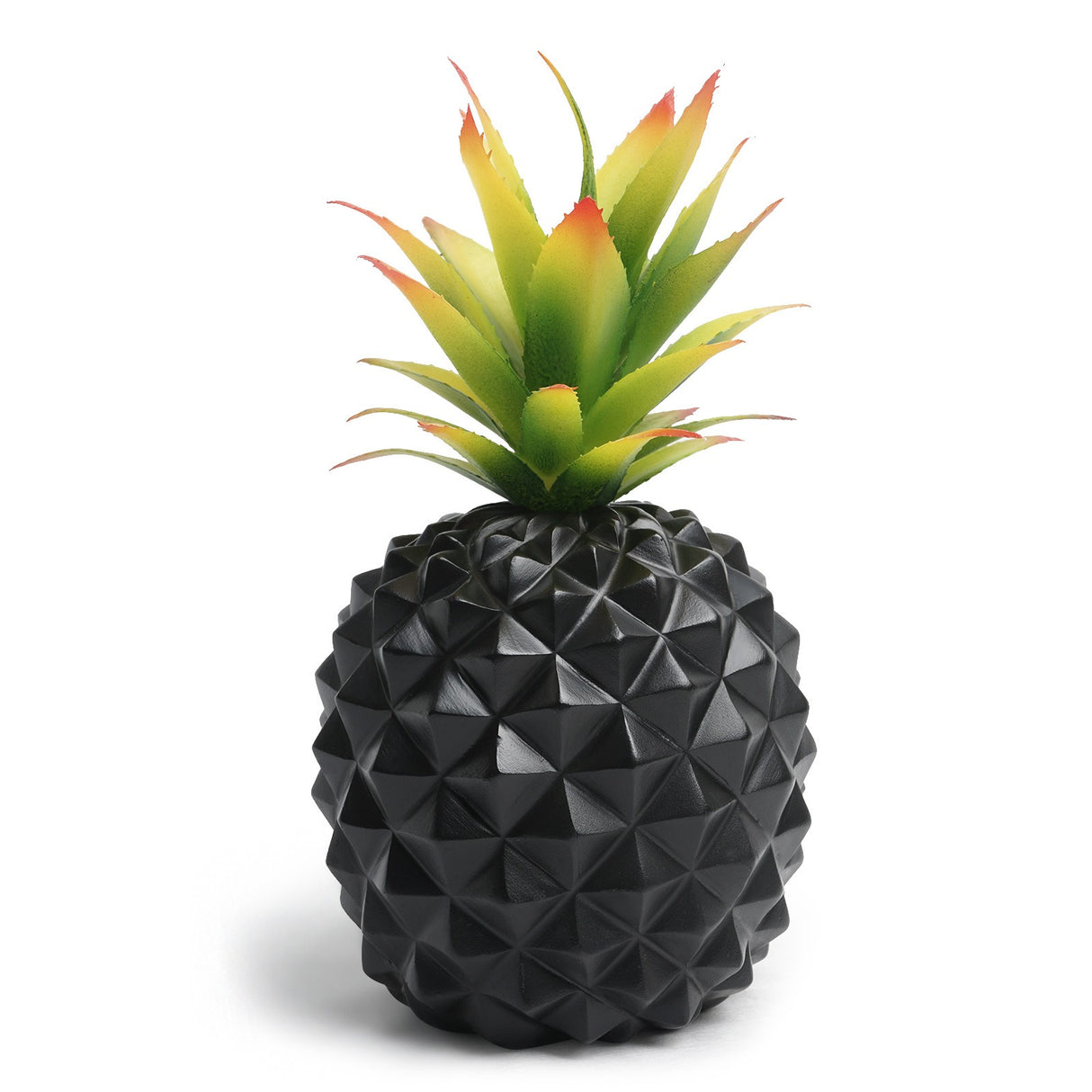 Black pineapple plant green plant office desk decoration