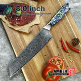 Professional Damascus VG 10 Steel Core 67 layers stainless steel Abalone handle kitchen knives set