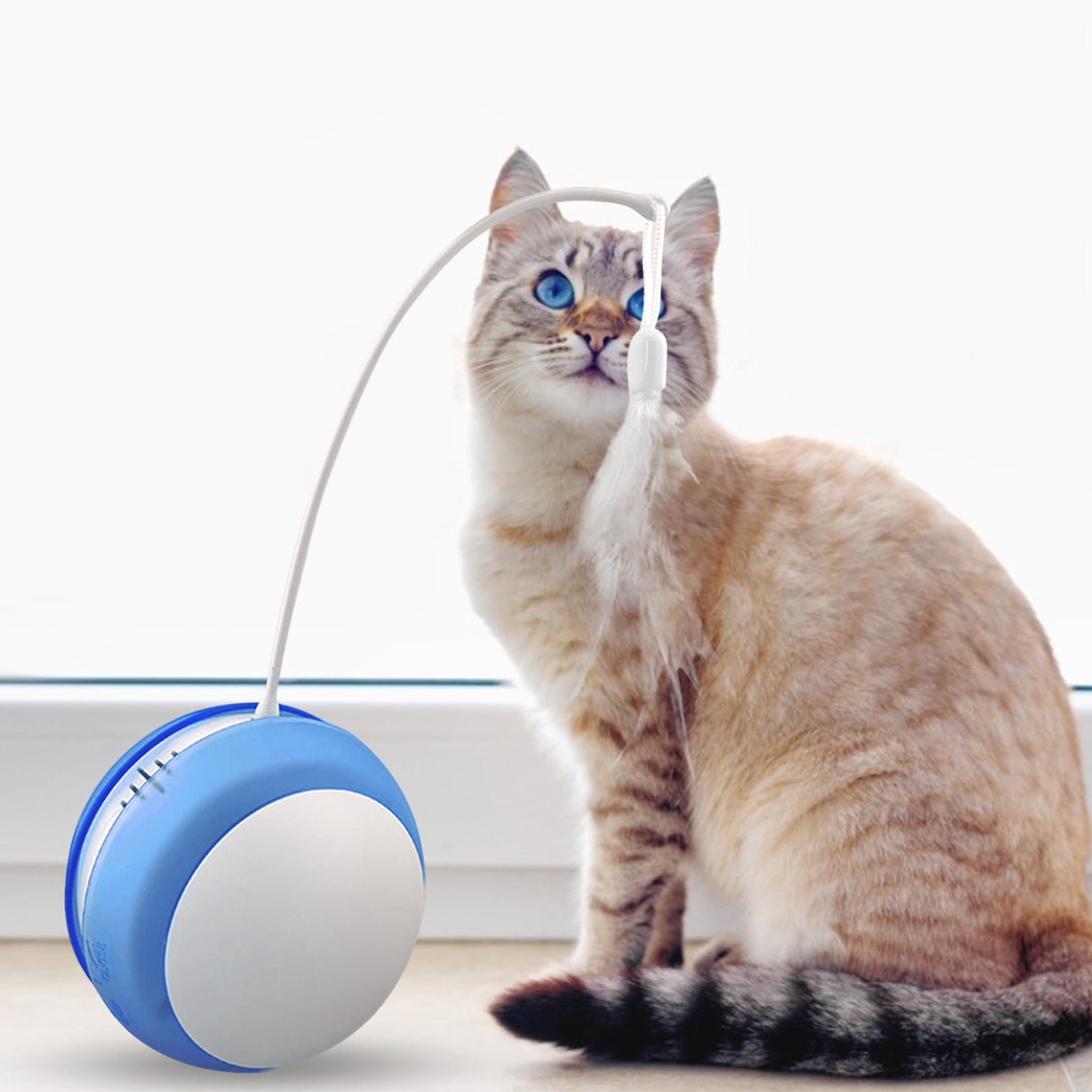 Funny Cat Toy Tumbler Swing Toys For Cats Kitten Interactive Balance Car Cat Chasing Toy Funny Sound And Light Feather Toy - Emete store