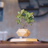 Magnetic levitation potted plants Creative Bonsai Flower Pots Plants Office Plant Decorations Without Plants Bedroom - Emete store