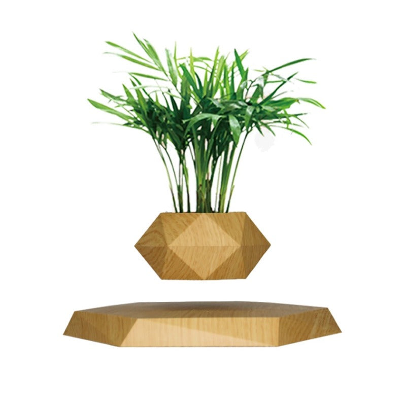 Magnetic levitation potted plants Creative Bonsai Flower Pots Plants Office Plant Decorations Without Plants Bedroom - Emete store