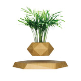 Magnetic levitation potted plants Creative Bonsai Flower Pots Plants Office Plant Decorations Without Plants Bedroom - Emete store