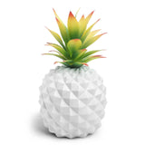 white pineapple plant and green plant office desk decoration