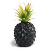 Black pineapple plant green plant office desk decoration