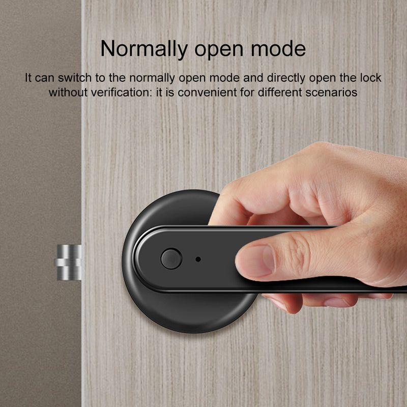 Digital Smart Door Lock Handle Fingerprint Password Bluetooth Key App
