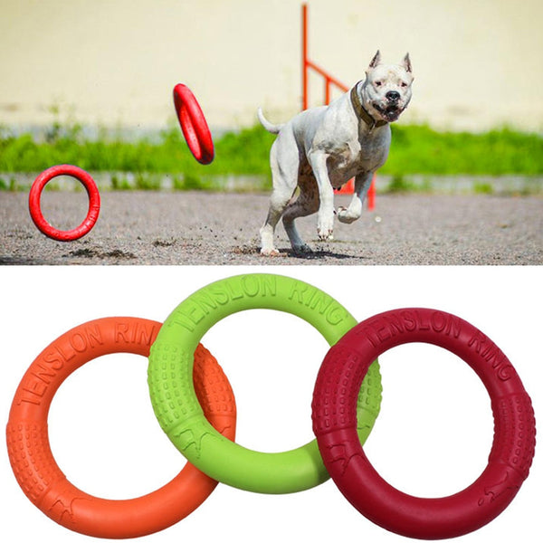 Pet Training Ring Interactive eprolo