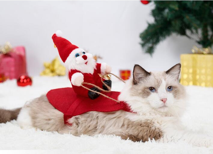 Christmas Pet Dress eprolo