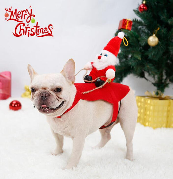 Christmas Pet Dress eprolo