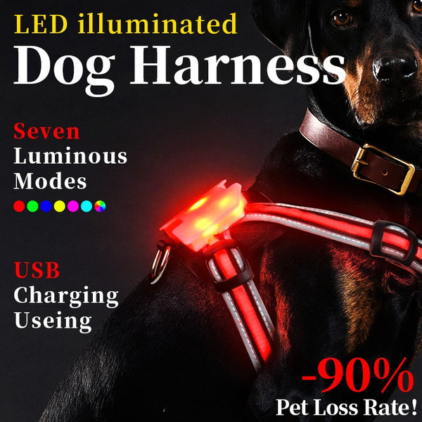 LED Light-Emitting Chest Harness - Emete Store