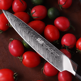 Damascus 5 Inch Fruit Knife High Hardness - Emete Store