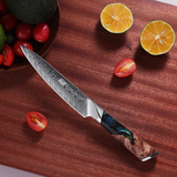 Damascus 5 Inch Fruit Knife High Hardness - Emete Store