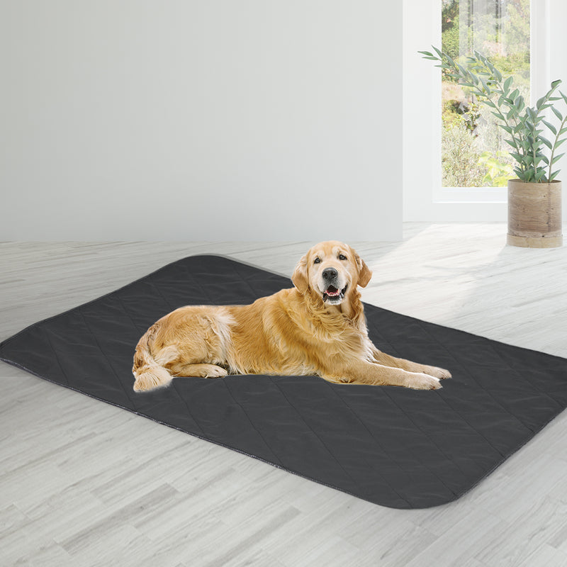 Puppy Reusable Cushion Jumbo Grey Emete store
